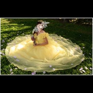 Night/Disney Belle dress